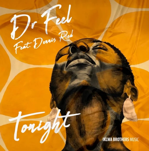 Dr Feel, Dennis Red - Tonight (Original Mix) 1