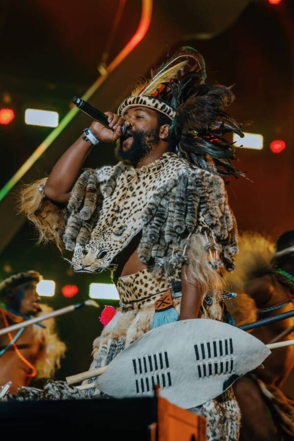 African Giants Come To Life At The Dstv Delicious Food &Amp; Music Festival! 2