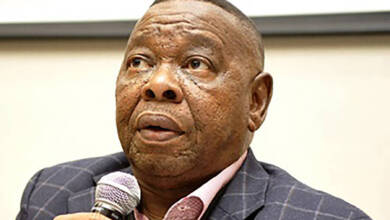 Blade Nzimande Biography: Age, Wife, Qualifications, Education, Salary & Contact Details