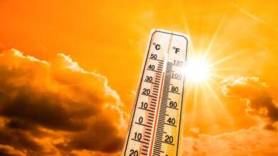 Mzansi Weather Service Warns Heatwave To Hit Limpopo, Mpumalanga, Gauteng