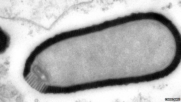 Long-Frozen “Zombie Virus” Spook Scientists – Warnings Issued