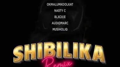 Lord Script – Shibilika Remix Ft. Okmalumkoolkat, Musiholiq, Blxckie, Audiomarc &Amp; Nasty C 6