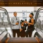 Tee Jay, Aymos & Lady Du – Amalevels (Extended) ft. Cheez Beezy