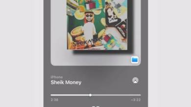 FLUXX, TheBoyTapes & 2woBunnies – Sheik Money