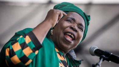 Nkosazana Dlamini Zuma Biography: Age, Husband, Education, Children, Net Worth, Previous Offices & Contact Details