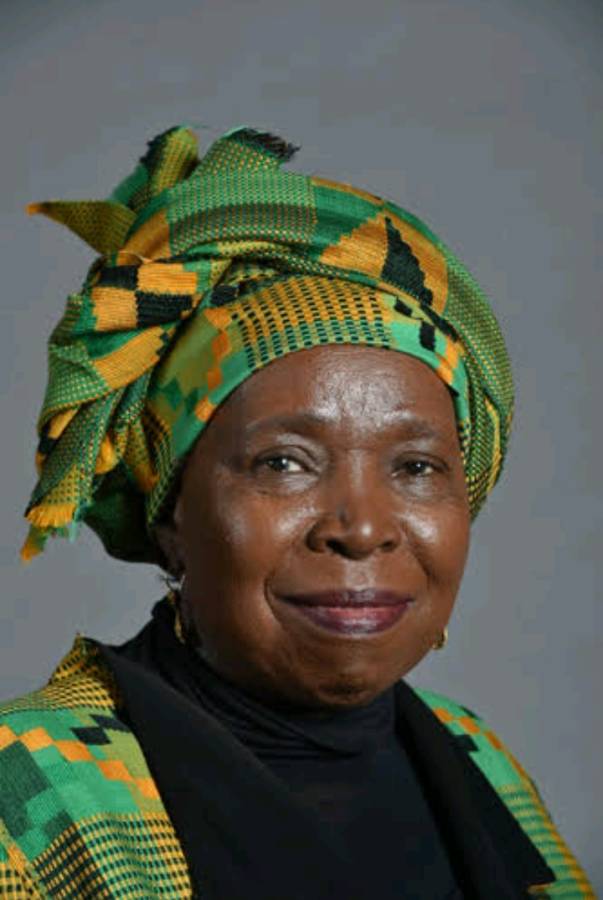 Nkosazana Dlamini Zuma Biography 2