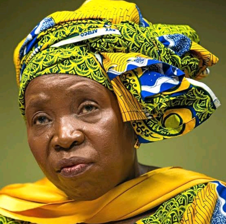 Nkosazana Dlamini Zuma Biography 3
