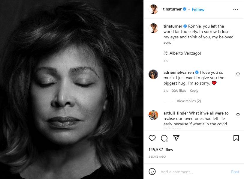 Tina Turner Losses Son Ronnie To Cancer 2