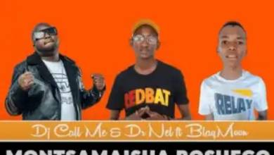 Dj Call Me &Amp; Dr Nel – Montsamaisha Boshego Ft. Blaqmoon 1
