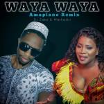 DJ Zaka & Makhadzi – Waya Waya (Amapiano Remix)