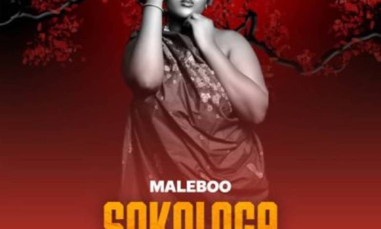 Maleboo – Sokologa Ft. Malome Vector