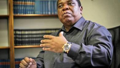 Robert Gumede Biography: Net Worth, House, Cars, Wife, Private Jet, Daughter, Son & Family