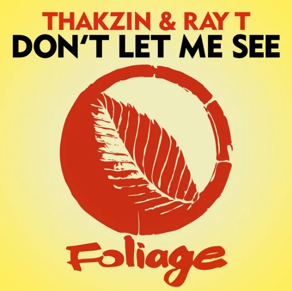 Thakzin &Amp; Ray T - Don'T Let Me See 1