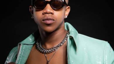 Young Stunna &Amp; Mashudu – Emsamo Ft. Mdu Aka Trp, Kabelo Sings &Amp; Mpho Spizzy 6