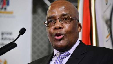 Aaron Motsoaledi Biography, Age, Wife, Daughter, Education, Qualifications, Contact Details & Views On Foreigners