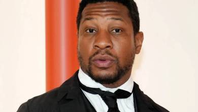 Alleged Domestic Violence: Jonathan Majors Dropped By Management
