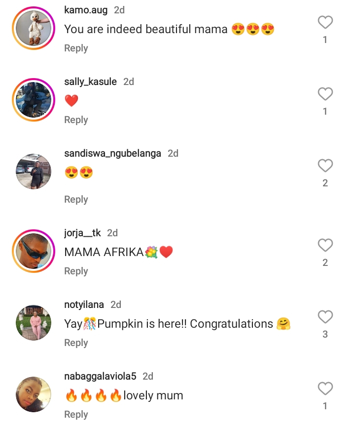 Fans Congratulate Lamiez Holworthy After She Hinted At Her Baby’s Arrival 3