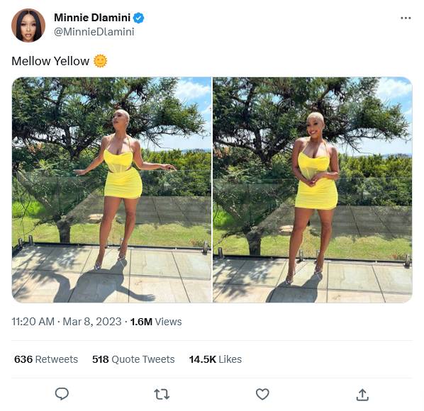 Fans Rise To Minnie Dlamini’s Defence After Tweeps Trolled Her Looks 2