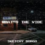 Sketchy Bongo – What’s the Vibe