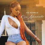 Zee Nxumalo – KwaNxumalo (Deluxe) Album