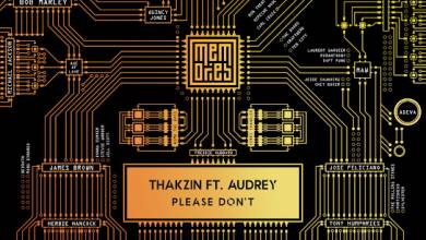 Thakzin – Please Don’t ft. Audrey