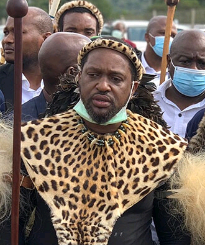 Zulu King Misuzulu Is Not Ill