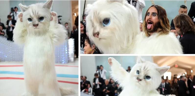 Doja Cat, Jared Leto, Others Honour Lagerfeld At The Met Gala 2023 4