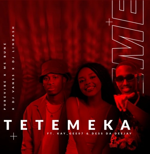 PureVibe, DJ Lindash, Ms Bune – Tetemeka ft. DJ VansS, Kay_Gee07 & Dess Da DJ