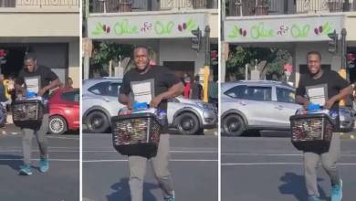 Awaiting Justice: Sentencing of ‘Woolies Looter’ Mbuso Moloi Postponed to July