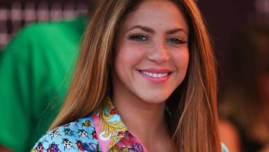 Shakira & Lewis Hamilton Stoke Dating Rumours At Dinner In Barcelona
