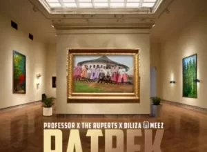 Professor, The Ruperts & Diliza – Patrek (Azvibhadari) Ft. Meez