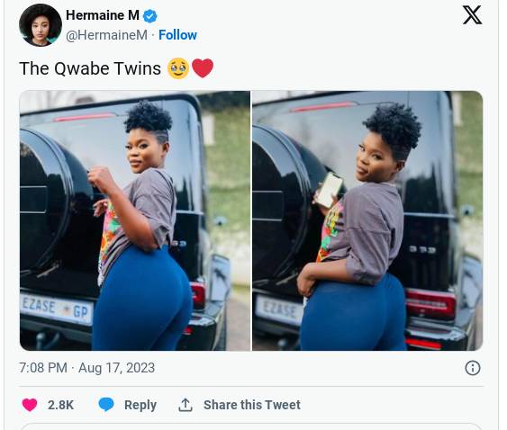 Qwabe Twins Wow Fans With Hot Snaps 2