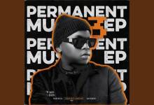 Dlala Thukzin “Permanent Music 3” EP Review
