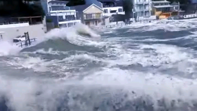 Huge Southern Cape Wave Kills Woman