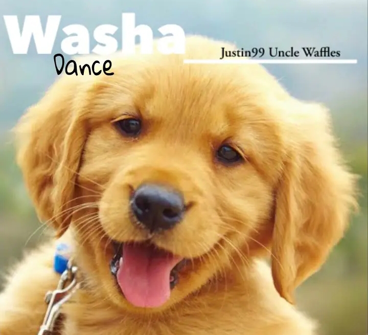 Justin99 &Amp; Uncle Waffles - Washa Dance 1