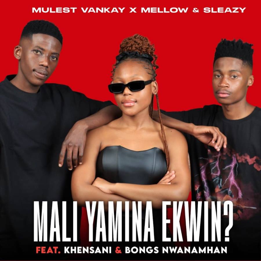 Mulest Vankay, Mellow &Amp; Sleazy - Mali Yamina Ekwin Ft. Khensani &Amp; Bongs Nwana Mhan 1