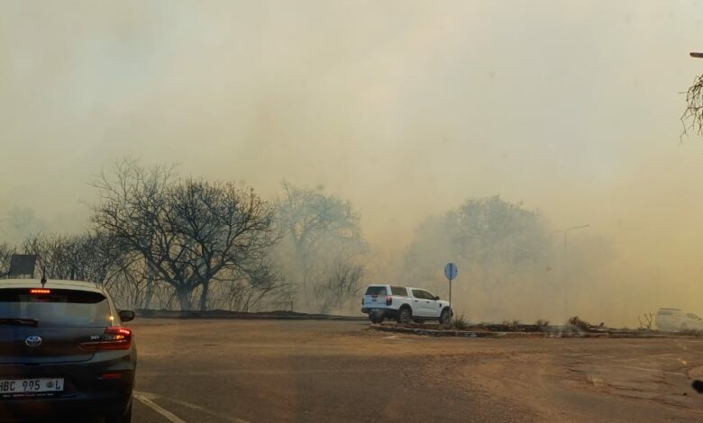 Phalaborwa Blaze: Residents Rally as Veld Fire Causes Havoc