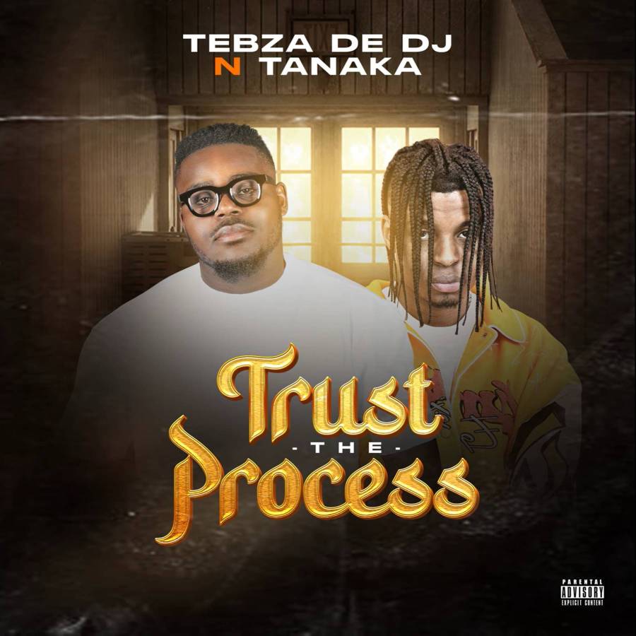 Tebza De Dj - Trust The Process Ft. Tanaka 1