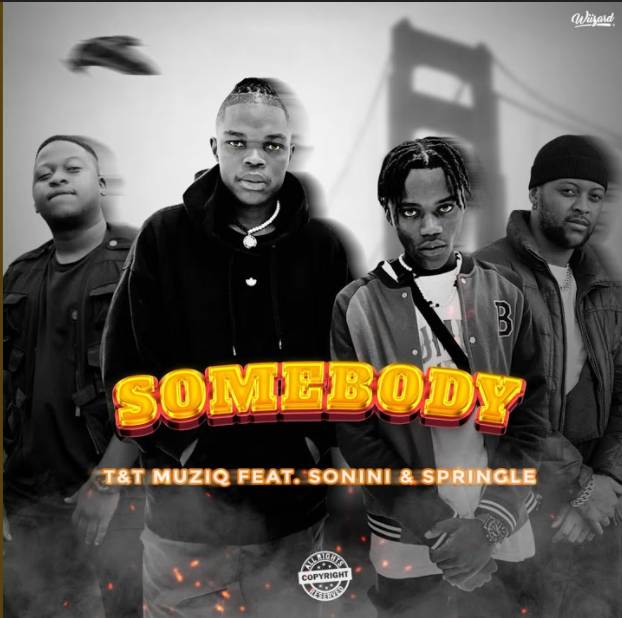 T&Amp;T Muziq - Somebody Ft. Sonini &Amp; Springle 1