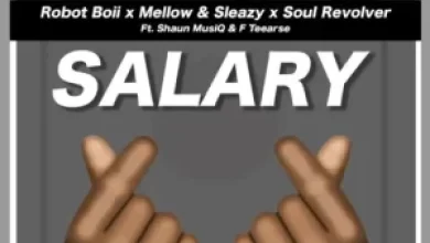 Video: Robot Boii, Mellow &Amp; Sleazy – Salary Salary Ft. Shaun Musiq &Amp; F Teearse 15
