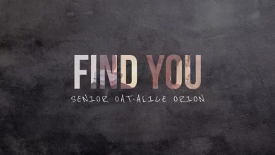 Senior Oat – Find You Ft. Alice Orion 10