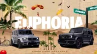 Vigro Deep – Euphoria Mix 2023 (100% Production) 10