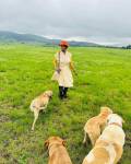Asavela Mngqithi: From Screen To Farm - A Journey Of Success And Tranquility 10