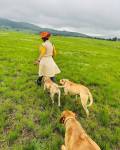 Asavela Mngqithi: From Screen To Farm - A Journey Of Success And Tranquility 9