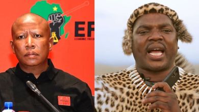 Political Tensions Rise: Ngizwe Mchunu'S Challenge To Julius Malema And The Eff 16