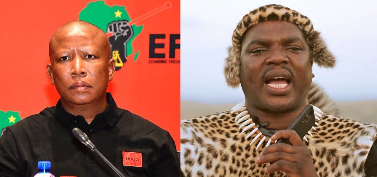 Ngizwe Mchunu Faces Backlash For Comments On Eff And Malema 1