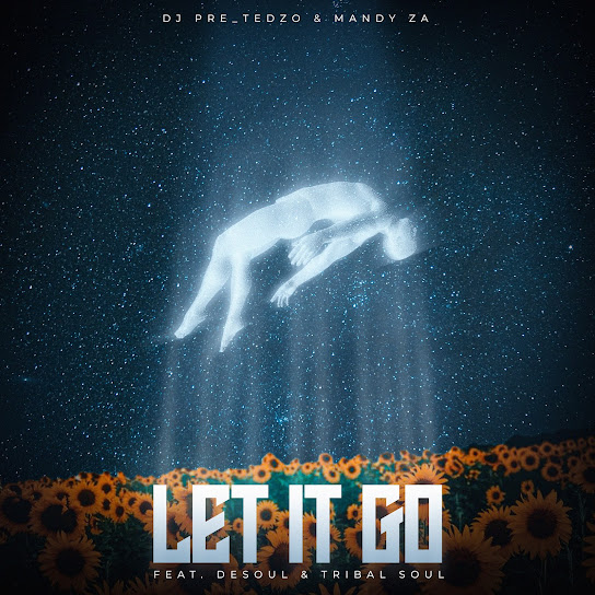 Dj Pre_Tedzo &Amp; Mandy Za Ft. Desoul &Amp; Tribal Soul – Let It Go 1
