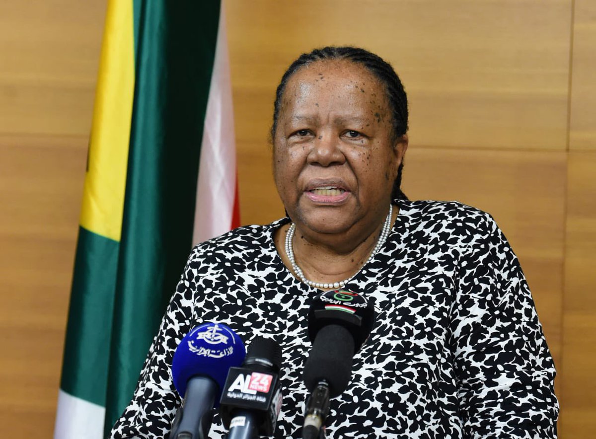 Naledi Pandor Hailed As A Beacon Of Hope And Diplomacy Following Icj Ruling 1