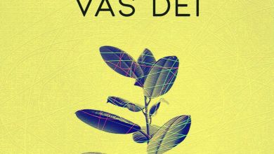 Saint Evo – Vas Dei (Original Mix) 6