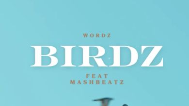 Wordz – Birdz + Raps On My Shoulders Ft. Mashbeatz &Amp; Sleazy 1